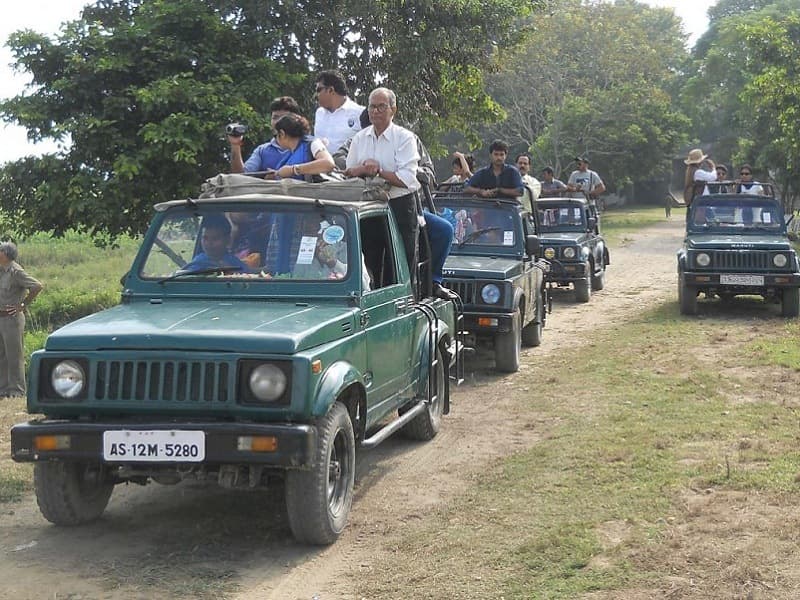 Kaziranga Jeep Safari